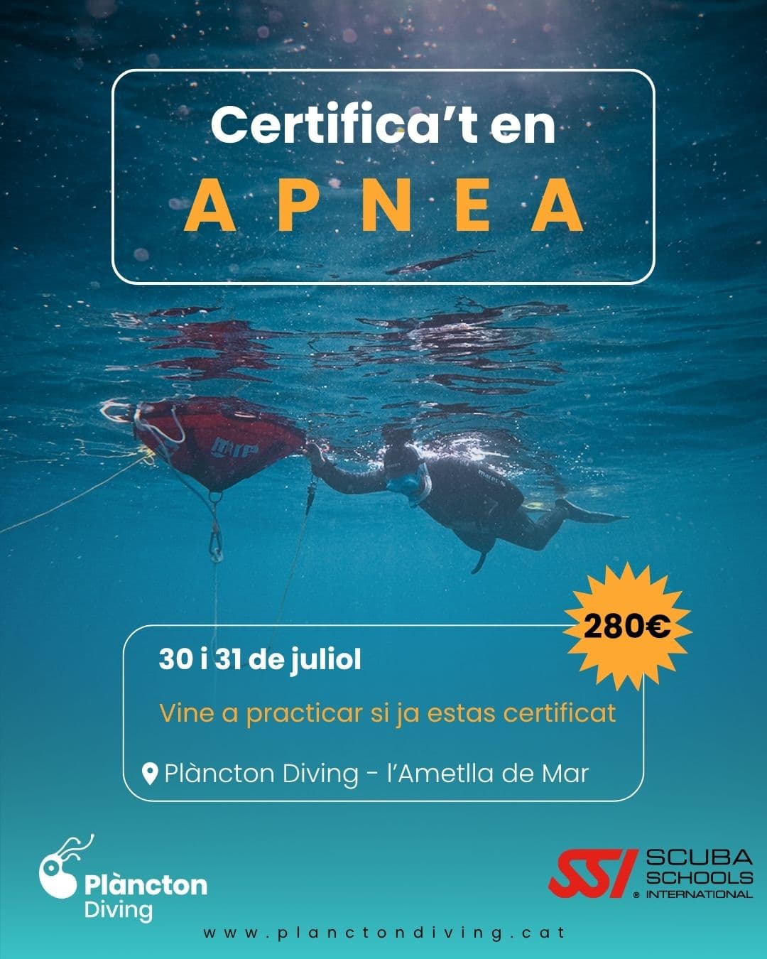 Curs d'iniciació a l'Apnea