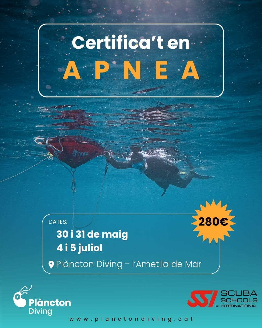 Curs d'iniciació a l'Apnea